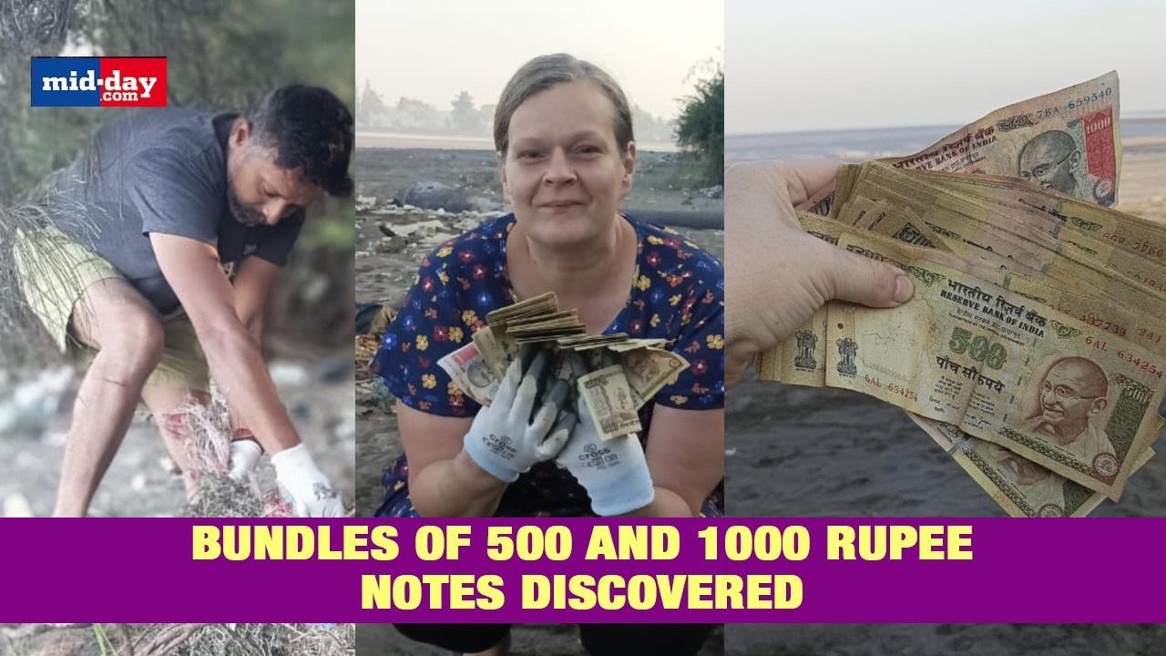 Couple Discovered Bundles Of 500 & 1000 Rupee Notes During Beach Clean Up